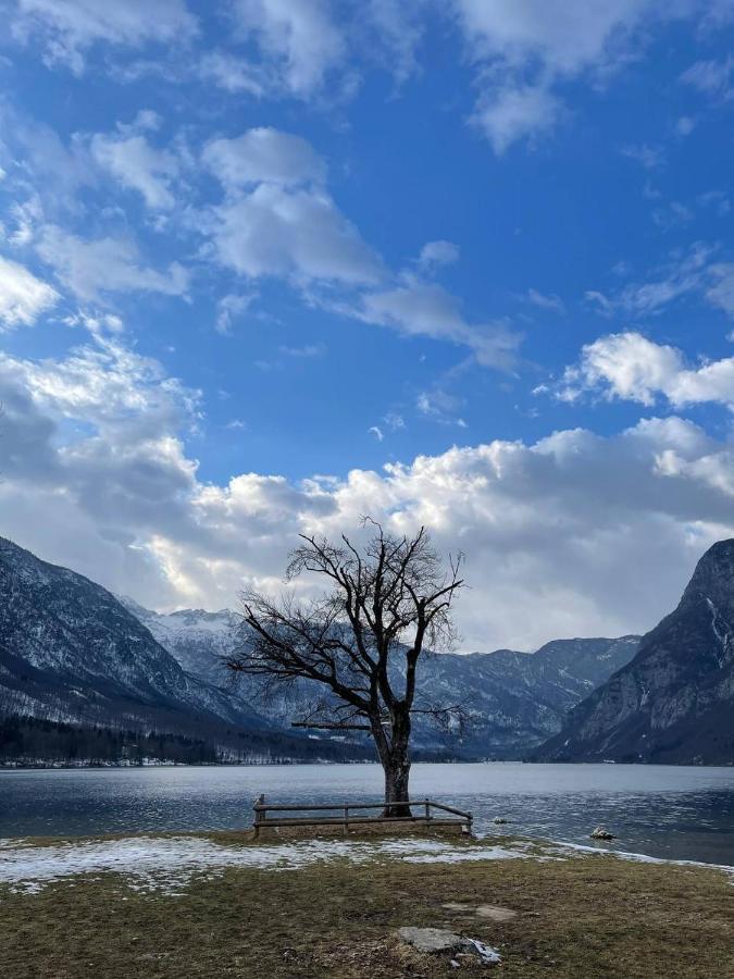 Remarkable Home Bohinj Lake Extérieur photo